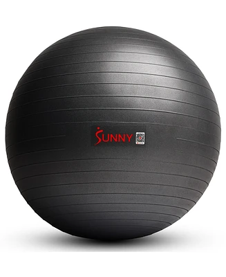 Sunny Health & Fitness Premium Yoga Ball Large 75CM Anti-Burst Exercise Ball for Workouts, Pregnancy, Physical Therapy, Stability Ball Chair Fitness,