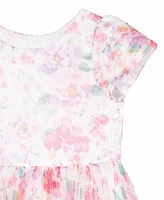 Rare Editions Toddler and Little Girls Floral Mesh Social Dress