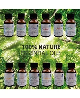 Pursonic 12 Pack of Aromatherapy Essential Oils
