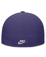 Nike Men's Purple/Green Tampa Bay Rays True Primetime Two-Tone Performance Fitted Hat