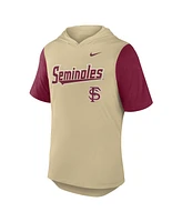 Nike Men's Gold/Garnet Florida State Seminoles Baseball Script Tri-Blend Performance Hoodie T-Shirt