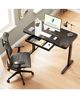 Flexispot EG9B-e, Electric Height Adjustable Glass Top Standing Desk, Black
