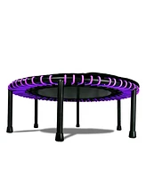 Leaps and Rebounds Fitness Trampoline, 40-inch or 48-inch |Adults and Kids Rebounder for Indoor and Outdoor, Up to 270 lbs | Lifetime Warranty | Low I