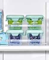 Oxo Tot Glass 4-Pack Baby Blocks Food Storage Containers