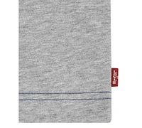 Levi's Big Boys Streamline Color block Tee