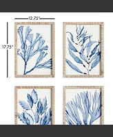 Marine Prints, Set Of 4