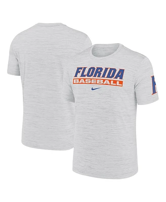 Nike Men's Ash Florida Gators Velocity Baseball Wordmark Stack Performance T-Shirt