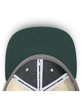 Nike Men's Natural Michigan State Spartans Primetime True Performance Fitted Hat