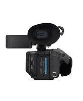 Sony Solid State Handheld 4K Camcorder (Hxr-NX800)