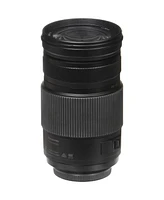 Panasonic Lumix G Vario 100-300mm f/4.0-5.6 Ii Lens for Micro Four Thirds