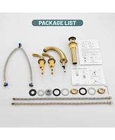 2 Handle Bathroom Sink Faucet