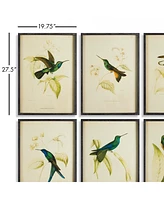Hummingbird Prints, Set Of 6