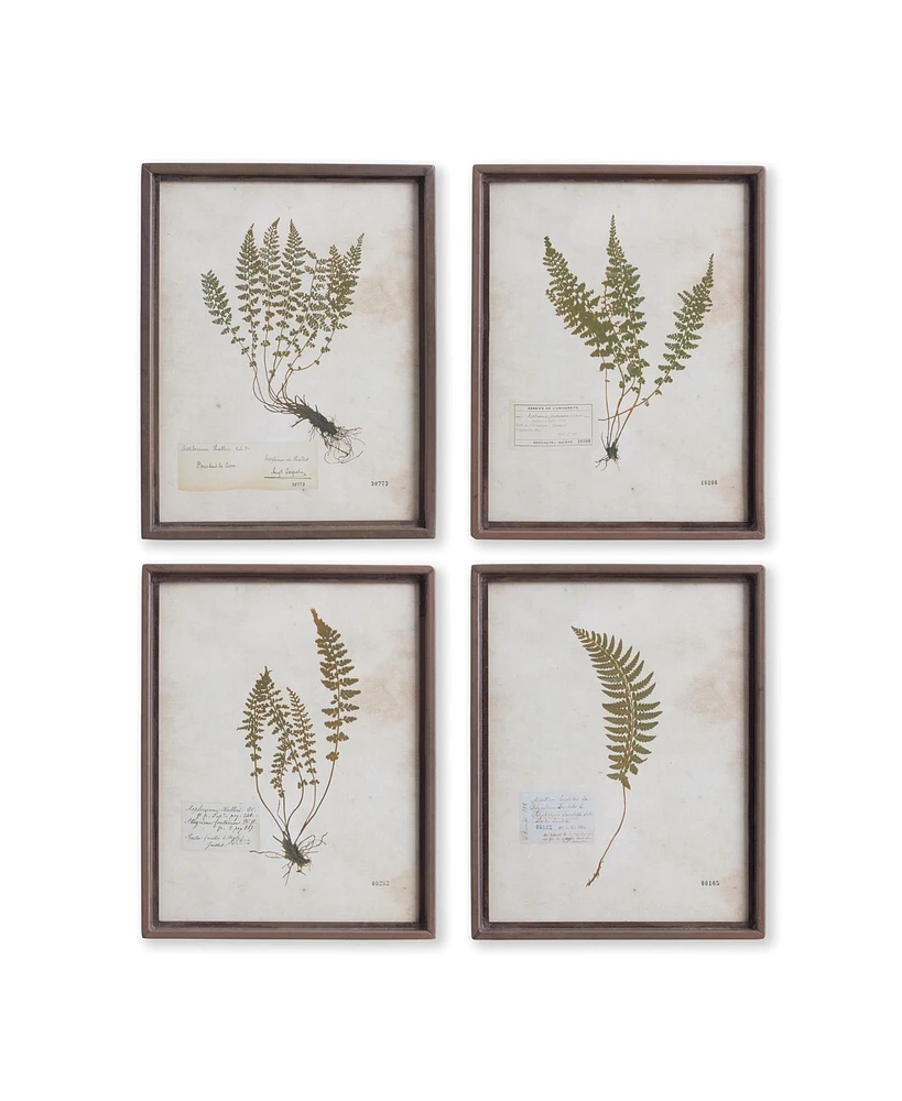 Petite Frond Prints Set of 4