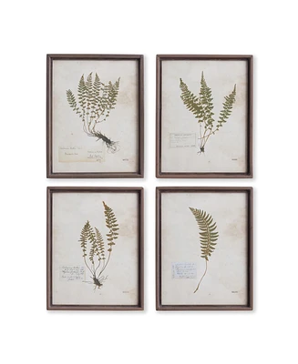 Petite Frond Prints Set of 4