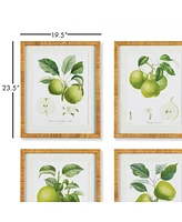 Fruit Study, Set Of 4
