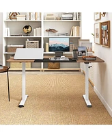 55 Inch Electric Standing Desk Adjustable with Cable Management Hole