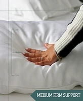 Square Pillow Insert