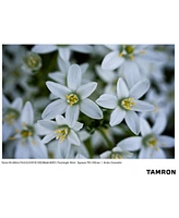Tamron 50-400mm f/4.5-6.3 Di Iii Vc Vxd Lens for Sony E