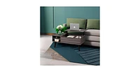 Wlive Lift Top Coffee Table with Storage for Living Room,Small Hidden Compartment and Adjustable Shelf,Mid Century, Modern ,Wood,Grey