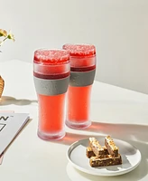 The Wine Savant Khen Freezable Pint Beer Glasses, Set of 2