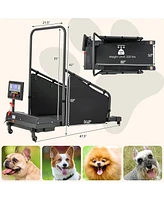 Indoor Pet Exercise Equipment with Remote Control