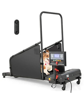 Indoor Pet Exercise Equipment with Remote Control