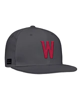 Nike Men's Anthracite Washington State Cougars On-Field Baseball Performance Fitted Hat