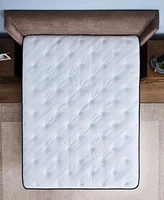 Sealy Posturepedic Chase Point Ii 14 Soft Euro Pillowtop Mattress Collection