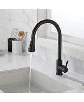 Kitchen Faucet with Pull Out Spraye
