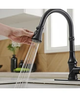 High Arc Kitchen Faucet with Single-Handle Pull-Down Sprayer and 3 Spray Modes