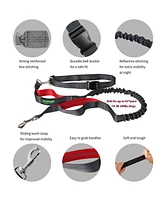 Hands Free Bungee Dog Leash