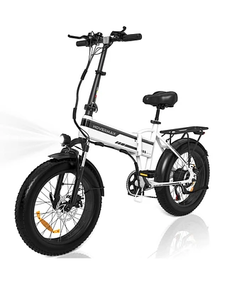 HK10M Electric Bike for Adults 20" x4.0 Fat Tire Electric Bicycle with 750W Motor, Foldable Ebkie with 48V 12AH Removable Battery E Bike Long Range 20
