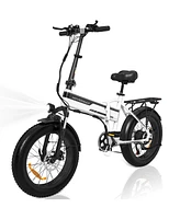 HK10M Electric Bike for Adults 20" x4.0 Fat Tire Electric Bicycle with 750W Motor, Foldable Ebkie with 48V 12AH Removable Battery E Bike Long Range 20