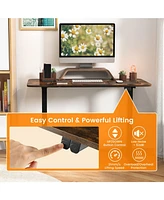 Electric Standing Desk Adjustable Stand up Computer Anti-collision