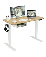 48 Inches Electric Standing Adjustable Desk with Control Panel and Usb Port