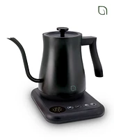 Willow Kitchen Digital Gooseneck Kettle with 5 Temperature Presets - Precision Heating Pouring for Perfect Brews
