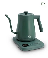 Willow Kitchen Digital Gooseneck Kettle with 5 Temperature Presets - Precision Heating Pouring for Perfect Brews