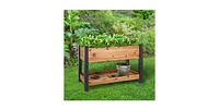 2-Ft x 4-Ft Cedar Wood Raised Garden Bed Planter Bed with Vinyl Legs