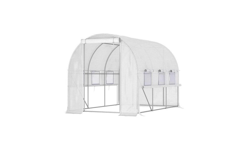 Walk-In Greenhouse for Gardening – Large Outdoor Plant Growing Space