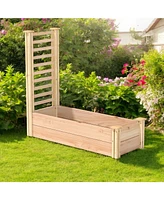 Cedar Raised Garden Bed with Trellis - Durable Planter for Vegetables and Climbing Plants