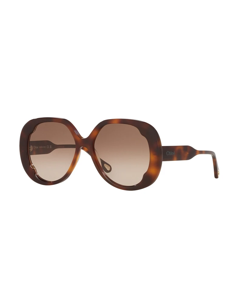 Chloe Women's Large Sunglasses, CH0195S 6N000509