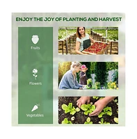 Mini Greenhouse – Space-Saving Solution for Plant Growth and Gardening