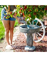 Resin Bird Bath with Feeder Compartment - Traditional Pedestal Bird Bath - 27" H - Gray