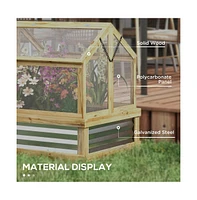 Flower Bed Greenhouse Perfect Shelter for Vibrant Plant Growth and Protection