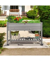 Outdoor Wood Raised Garden Bed Planter Box with Shelf and Locking Wheels