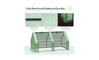 Walk-In Greenhouse for Gardening – Spacious Outdoor Plant Growing Shelter