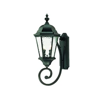 Two-Light Carousel Lantern Wall Light – Stylish Lighting for Exterior Spaces