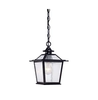 Hanging Terrarium Light – Modern Pendant for Living Room & Garden