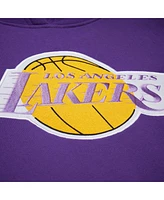 Mitchell & Ness Men's Purple Los Angeles Lakers Hardwood Classics Team Origins Fleece Pullover Hoodie