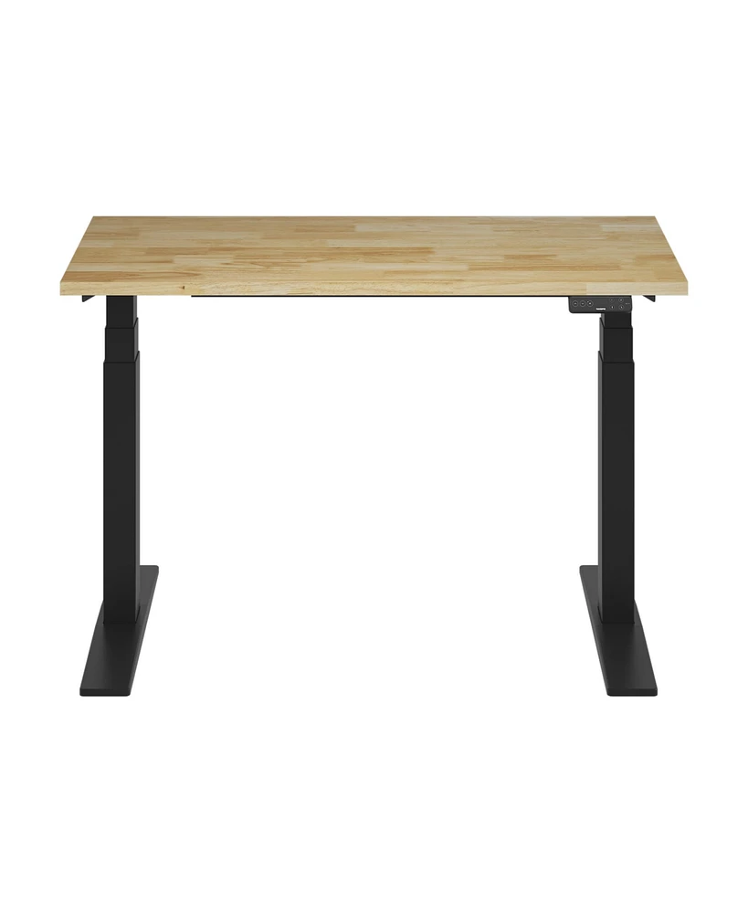 Flexispot E7-commercial 48 W Electric Adjustable Standing Desk, Rubber Wood Top, Black Base